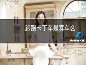 跑跑卡丁车是赛车么