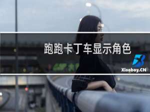 跑跑卡丁车显示角色