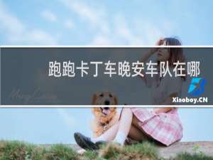 跑跑卡丁车晚安车队在哪