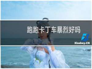 跑跑卡丁车暴烈好吗