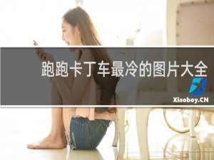 跑跑卡丁车最冷的图片大全