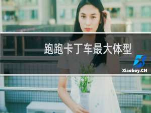 跑跑卡丁车最大体型