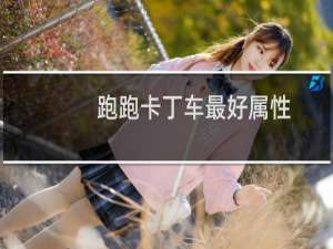 跑跑卡丁车最好属性