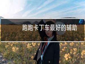 跑跑卡丁车最好的辅助