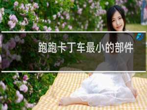 跑跑卡丁车最小的部件
