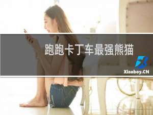 跑跑卡丁车最强熊猫