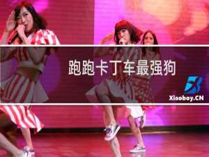 跑跑卡丁车最强狗