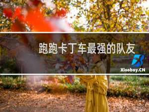 跑跑卡丁车最强的队友
