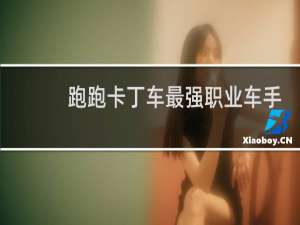 跑跑卡丁车最强职业车手