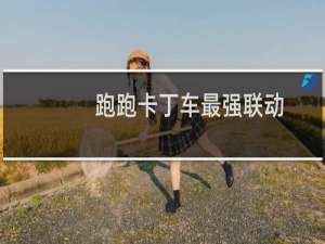 跑跑卡丁车最强联动