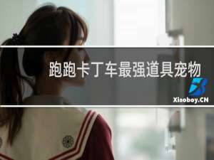 跑跑卡丁车最强道具宠物