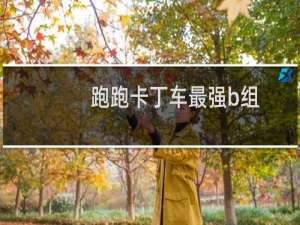 跑跑卡丁车最强b组