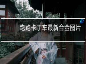 跑跑卡丁车最新合金图片