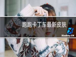 跑跑卡丁车最新皮肤