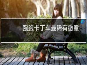 跑跑卡丁车最稀有徽章