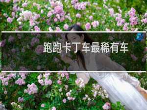 跑跑卡丁车最稀有车