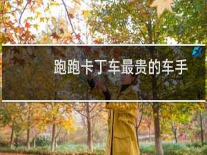 跑跑卡丁车最贵的车手