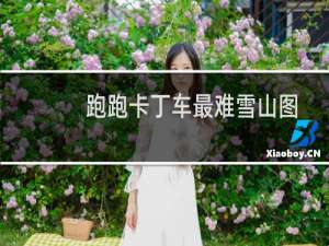 跑跑卡丁车最难雪山图