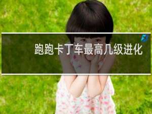 跑跑卡丁车最高几级进化