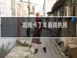 跑跑卡丁车最高执照