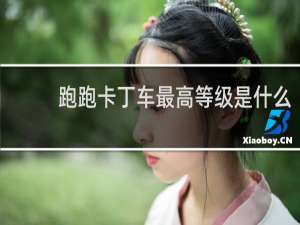 跑跑卡丁车最高等级是什么