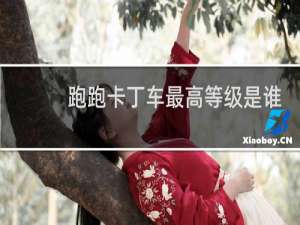跑跑卡丁车最高等级是谁