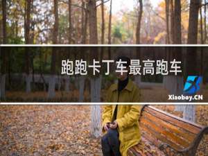 跑跑卡丁车最高跑车