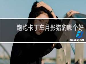 跑跑卡丁车月影猎豹哪个好