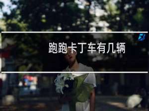跑跑卡丁车有几辆