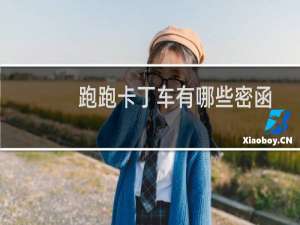 跑跑卡丁车有哪些密函