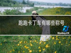 跑跑卡丁车有哪些称号