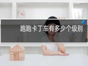 跑跑卡丁车有多少个级别