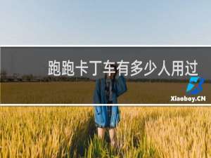 跑跑卡丁车有多少人用过