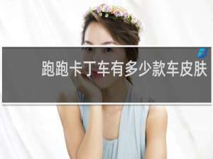 跑跑卡丁车有多少款车皮肤