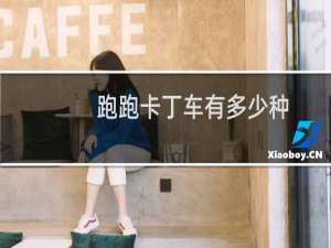 跑跑卡丁车有多少种
