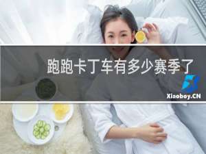 跑跑卡丁车有多少赛季了