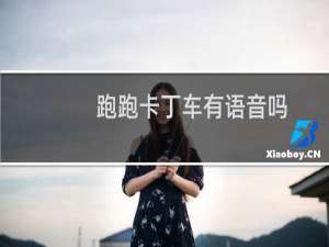 跑跑卡丁车有语音吗