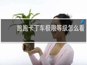 跑跑卡丁车极限等级怎么看