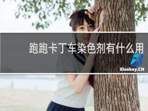 跑跑卡丁车染色剂有什么用