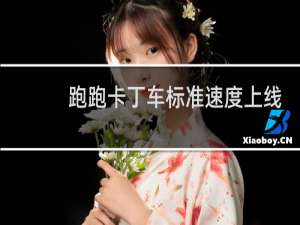 跑跑卡丁车标准速度上线