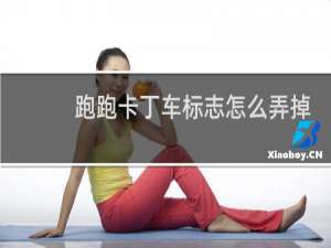 跑跑卡丁车标志怎么弄掉