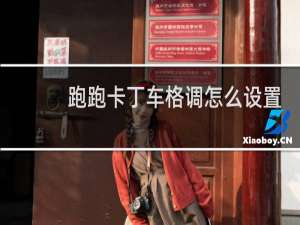 跑跑卡丁车格调怎么设置