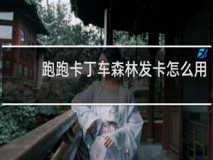 跑跑卡丁车森林发卡怎么用