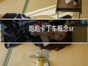 跑跑卡丁车概念sr