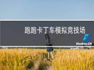 跑跑卡丁车模拟竞技场