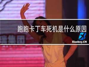 跑跑卡丁车死机是什么原因
