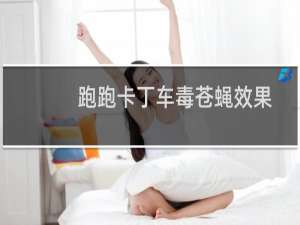 跑跑卡丁车毒苍蝇效果