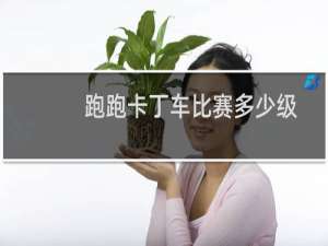 跑跑卡丁车比赛多少级