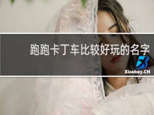 跑跑卡丁车比较好玩的名字