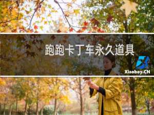 跑跑卡丁车永久道具